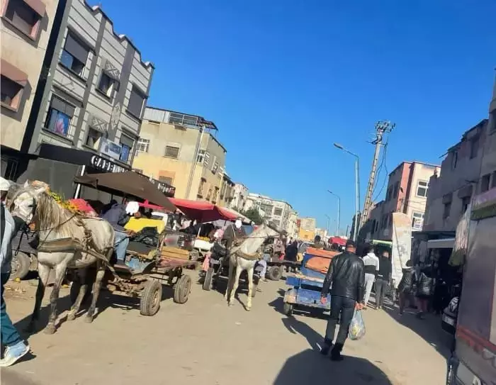 انقر على الرابط او الصوره لقراءه المقا