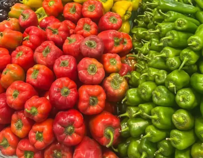 الاتحاد الأوروبي يفرض رقابة على المنتجات المغربية بسبب استعمال مبيدات محضورة