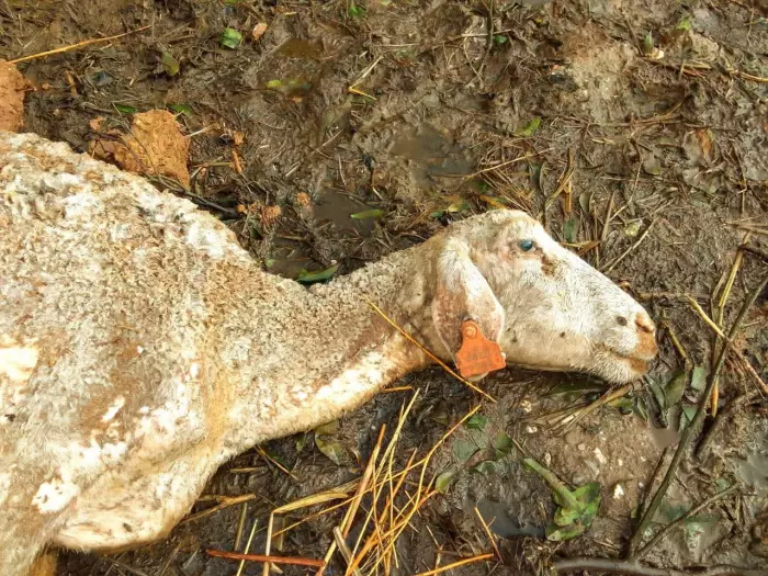 فيضانات واد بهت تكشف هشاشة البنية التحتية بالعالم القروي بإقليم سيدي سليمان