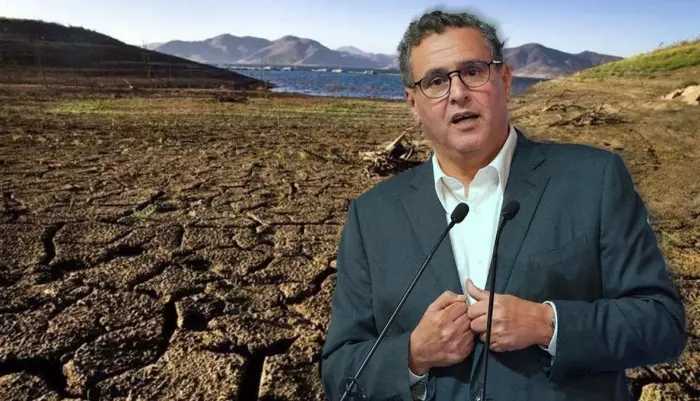 المغرب الأخضر أم وهم تصديري؟ والسياسة الفلاحية تغرق في أزمة المياه والفقر