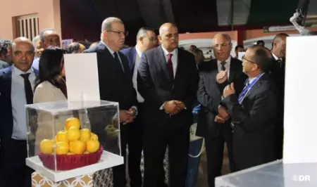 الملتقى الوطني للتفاح بميدلت تعزيز التنمية المستدامة للموارد المائية
