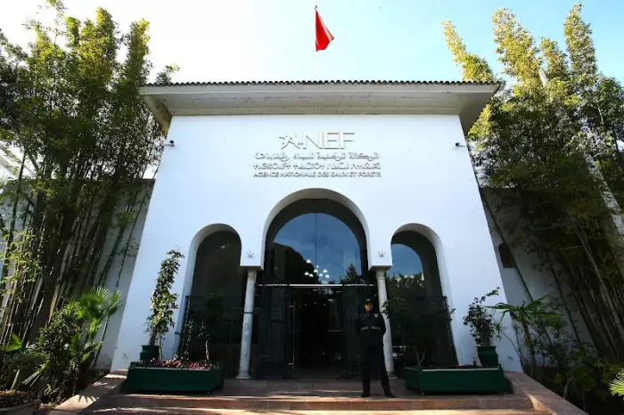 نقابة المياه والغابات تُفجر غضبها..اتهامات للإدارة بممارسة ا"لتهجير الإداري" في حق موظفين أنهوا إلحاقهم