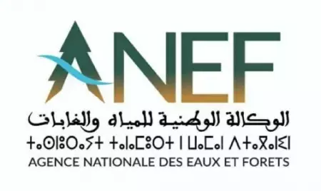 المغرب حارس البيئة الإفريقية وخصم شرس لمحاولات التوظيف السياسي لاتفاقيات المناخ