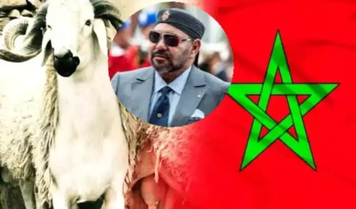 عيد بلا أضاحي..مغاربة أوروبا يختارون التضامن مع البلد الأم هذه السنة بدل الطقوس