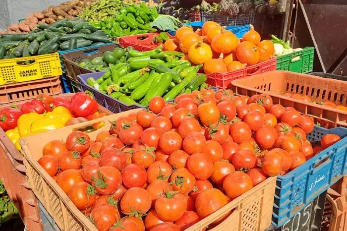 الخضر تشتعل من جديد والمغاربة أمام أيام صعبة مع الملابس والكتب المدرسية