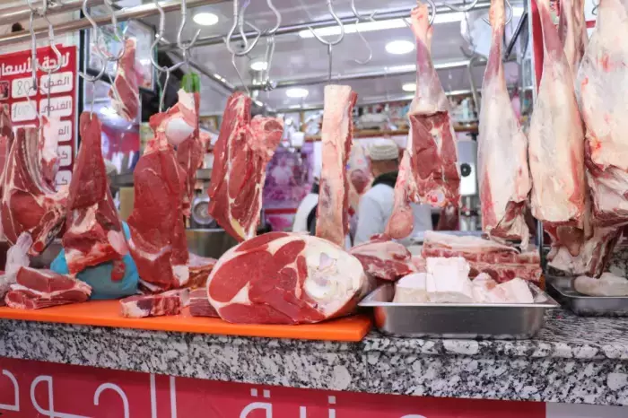 غزو اللحوم الأجنبية لمعارض المغرب… هل يُجهز على أمل دعم الإنتاج المحلي؟