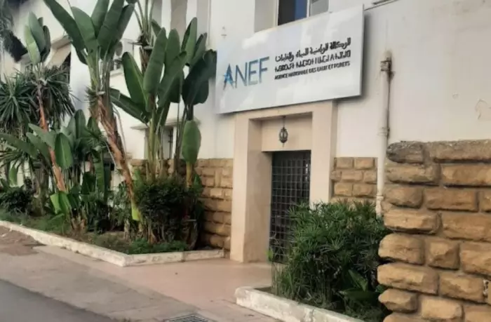 خرائط إنذار مبكر تكشف أخطر بؤر الحرائق الغابوية بالمغرب هذا الصيف