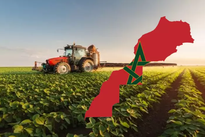 بين الخطر العالمي والاستثناء المغربي..كيف نجا المغرب من لائحة الجوع في تقرير أزمة الغذاء 2025؟