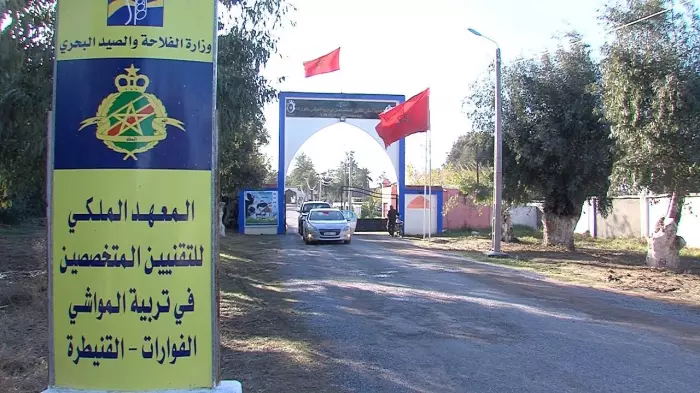غضب وسط التقنيين بالقنيطرة واتهامات بـ"ممارسات إدارية مثيرة للجدل" داخل معهد ملكي ومطالب بفتح تحقيق عاجل