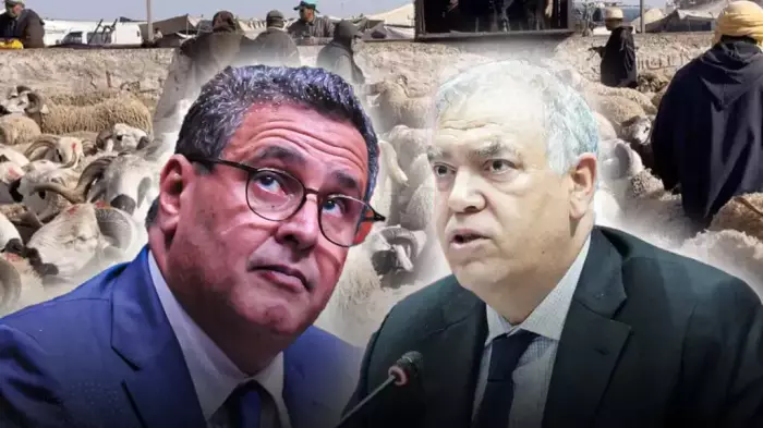 ليلة العيد تحت الضغط واختفاء الأضاحي وصرخة الغلاء تُزلزل الأسواق بالمغرب وسط أسئلة حارقة حول العرض الحقيقي وقدرة الدولة على ضبط الأسعار