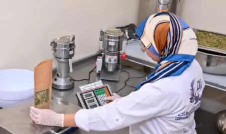 المرأة القروية ببنسليمان ترتقي بدعم المبادرة الوطنية للتنمية البشرية