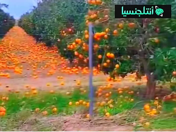 انقر على الرابط او الصوره لقراءه المقال