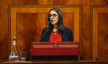 نادية فتاح تكشف ملامح “قانون مالية 2026”.. مشروع ضخم لتجسيد رؤية الملك نحو “المغرب الصاعد”