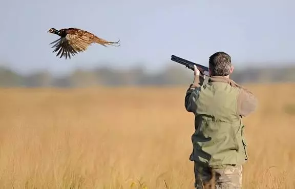 المياه والغابات تعلن زمن الراحة البيولوجية بوقف موسم الصيد