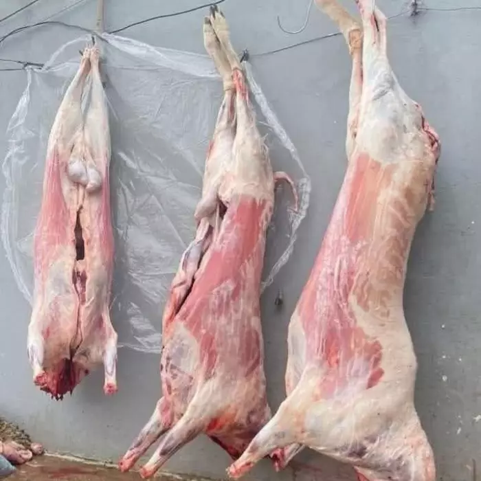 التحايل على خطاب الملك أضاحي في "الفريكو" رغم نداء إنقاذ القطيع الوطني