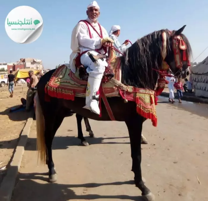 كلام من ذهب على لسان شيخ الشيوخ الفارس الخيال والصياد بجهة الغرب الحاج إدريس كريكيبة مع الجماعة