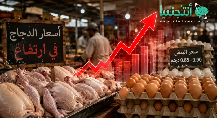 صدمة في الأسواق المغربية وأسعار الدجاج والبيض تعود للاشتعال من جديد