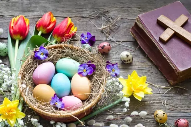 انقر على الرابط او الصوره لقراءه المقا