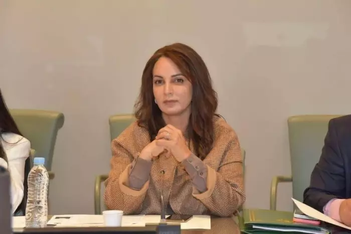 تغيير على رأس الفريق الاستقلالي بمجلس النواب عقب إعفاء مديحة خيير