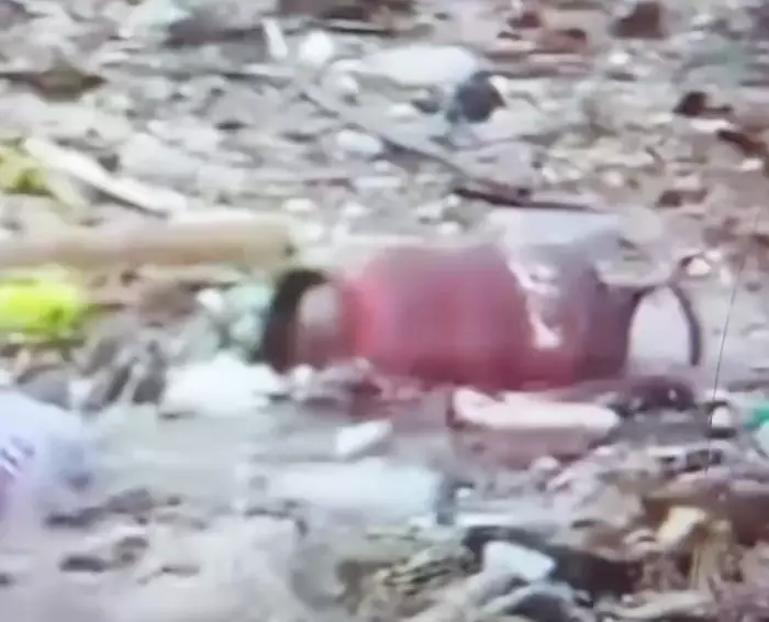 بالفيديو:نيبال شباب يغامرون بأرواحهم من أجل الحصول على قنينة غاز وسط السيول