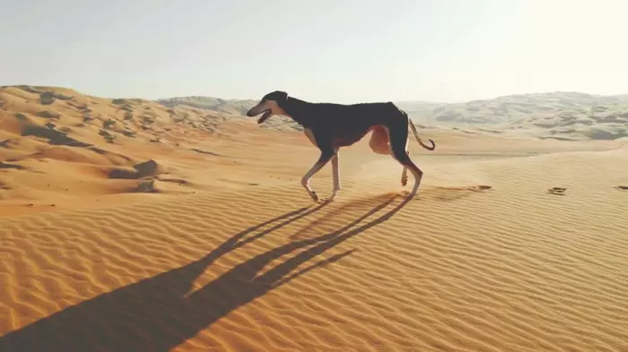 الكلبة التي جنت على قومها براقش..حينما صار النباح خيانة