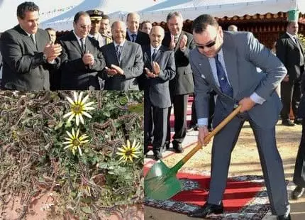 كارثة طبيعية تهدد أرزاق الفلاحين بعامر السفلية"لاروقا"والمواطنون يستغيثون بالملك "محمد السادس"