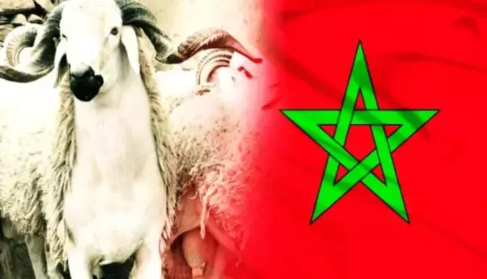 انقر على الرابط او الصوره لقراءه المقا