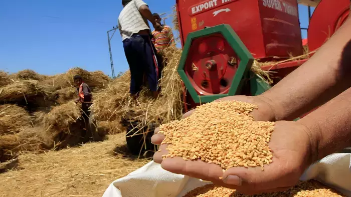 تحسن الوضع الفلاحي يعزز الرهانات الاقتصادية للدولة
