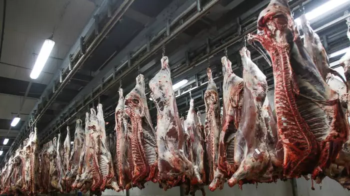 واردات اللحوم البرازيلية تقفز قبيل رمضان وتكشف هشاشة العرض الوطني