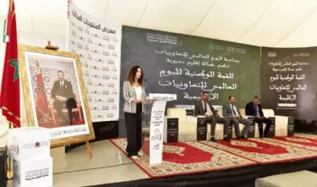 مديونة تُشعل شرارة التغيير: التعاونيات تكتب فصلًا جديدًا في قصة التنمية الترابية