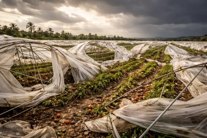 خسائر فادحة في سوس ماسة بعد عاصفة قوية والبيوت البلاستيكية تتهاوى ومطالب بإجراءات استعجالية لدعم الفلاحين
