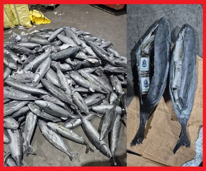 ضربة أمنية ثقيلة تُسقط أطنانا من الشيرا وتفضح شبكات التهريب الدولي