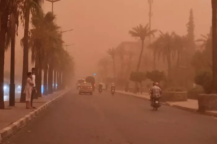 انقر على الرابط او الصوره لقراءه المقا