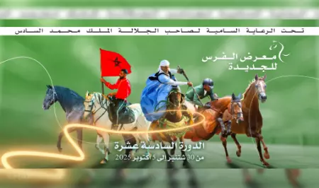 خيول المعرفة تتألق في الجديدة.. نُخبة من العقول تروي تاريخ الفروسية وتُبدع في فنون العناية بالخيل