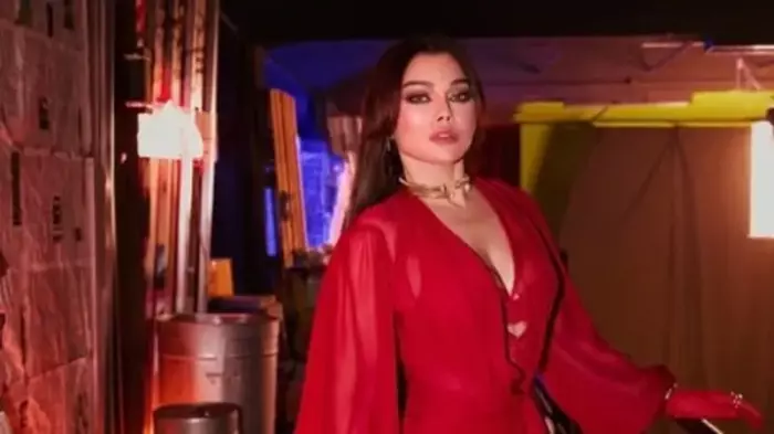 الحبس 3 سنوات وغرامة 16 مليون جنيه وحكم قضائي جديد في قضية هيفاء وهبي ومدير أعمالها السابق
