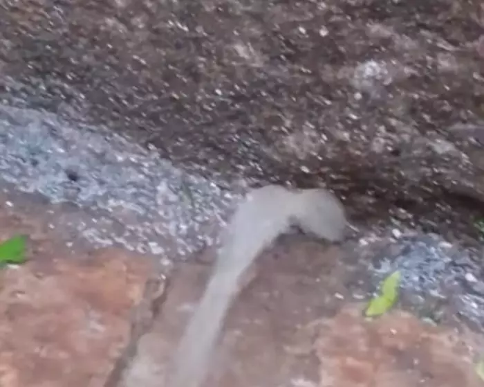 كارثة في طنجة المدينة القديمة..المياه تنفجر من باطن الأرض تحت المباني