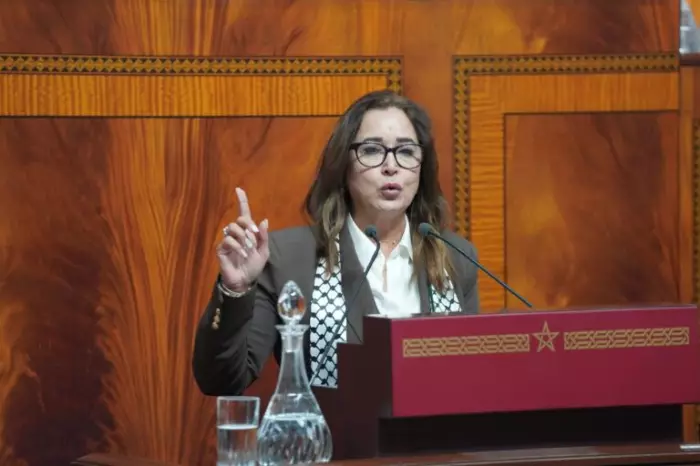 التامني تفجّرها تحت قبة البرلمان:توحيد التأمين الصحي ارتجال حكومي يهدد الحقوق ويفتح الباب للخواص