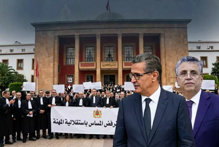 زلزال يهز مهنة الدفاع واستقالات النقباء تضع الحكومة في قلب عاصفة غير مسبوقة