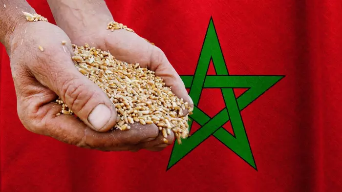 سوق المطاحن بالمغرب:دعم يُهدر والوسطاء ينهبون والقرويون يتجرعون الخسارة