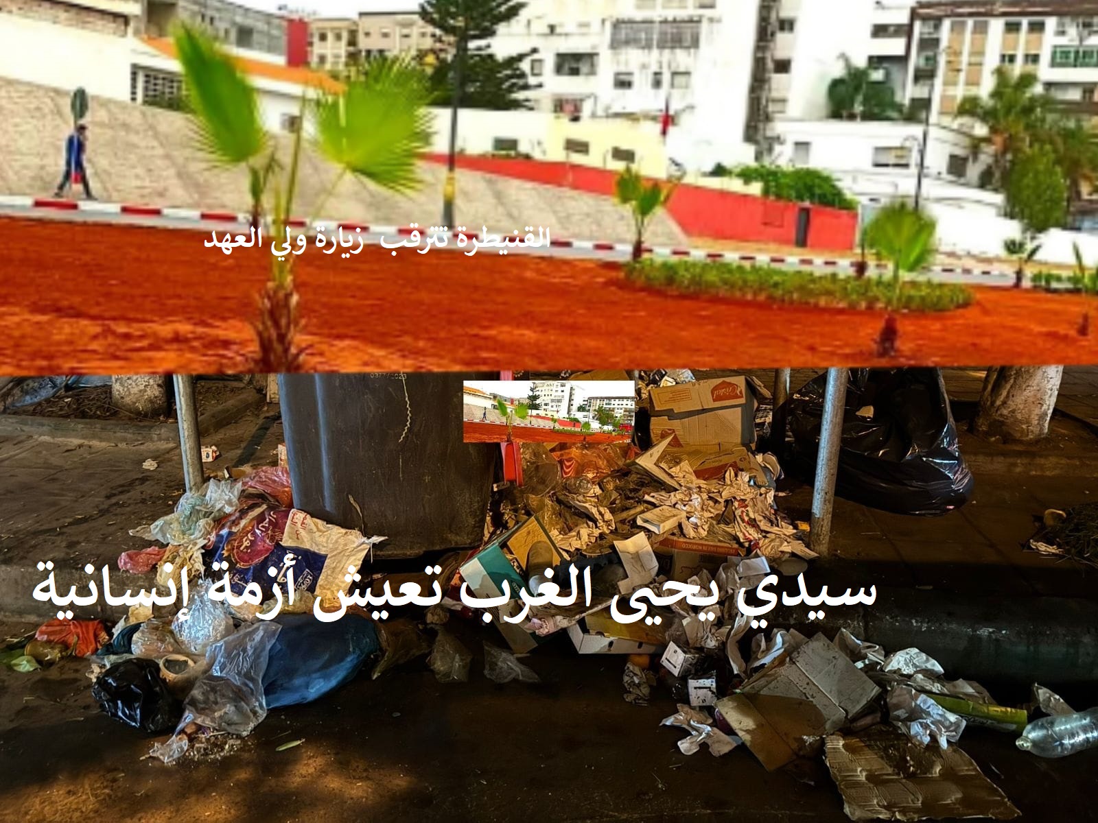 انقر على الرابط او الصوره لقراءه المقا