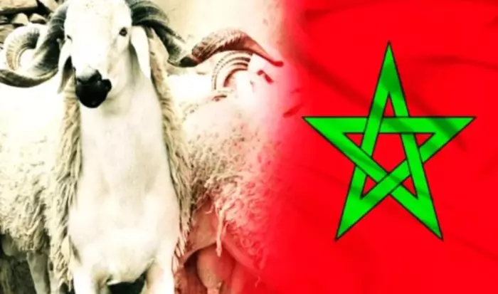 يوم عطلة استثنائي بمناسبة عيد الأضحى..الحكومة تعلن الإثنين 9 يونيو يوم راحة إضافي