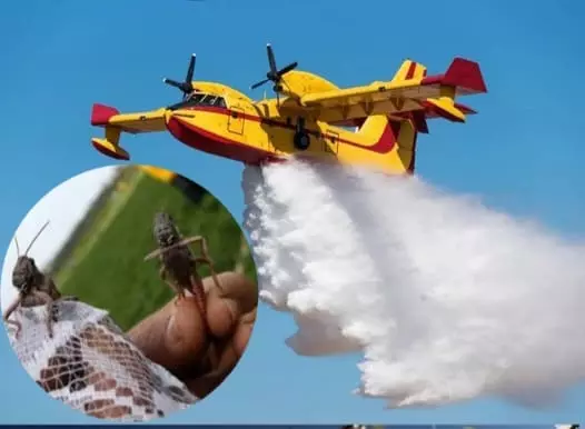 انقر على الرابط او الصوره لقراءه المقال