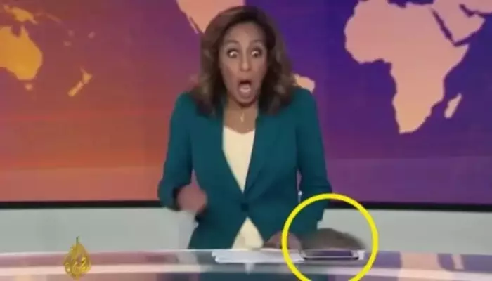 القصة الكاملة لفأر الجزيرة والفيديو الصادم