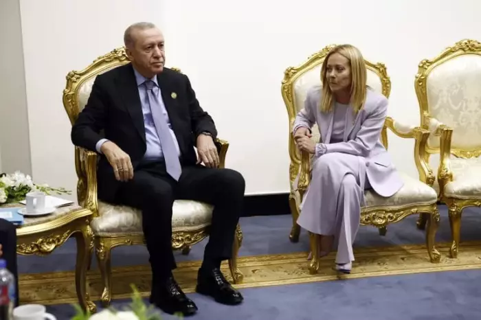 مزحة أردوغان تشعل قمة شرم الشيخ.. ضحكات السياسة تكسر جليد الحرب