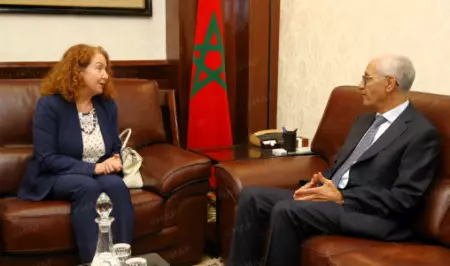 الطالبي العلمي يعزز الشراكة مع الأمم المتحدة من أجل تنمية شاملة بالمغرب