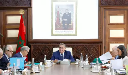 إعادة تنظيم المندوبية الوزارية لحقوق الإنسان لتعزيز التزامات المغرب الدولية وترسيخ حضورها الأممي