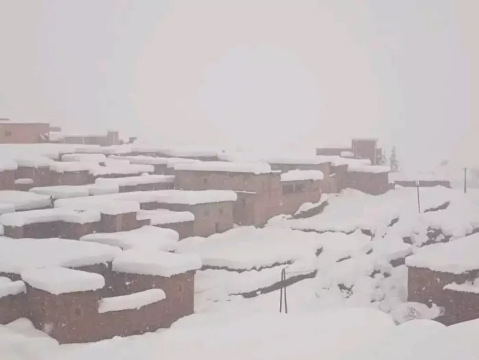 أمطار غزيرة وثلوج كثيفة وبرد قارس وتحذير برتقالي إلى غاية هذا اليوم