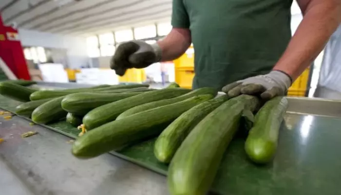 انقر على الرابط او الصوره لقراءه المقال