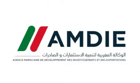 المغرب يرسخ مكانته كقطب استثماري عالمي ويطلق دينامية جديدة للتصدير في حصيلة 2024