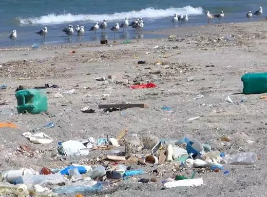 لماذا لا تزال بعض شواطئ طنجة ملوثة ولا تصلح للسباحة